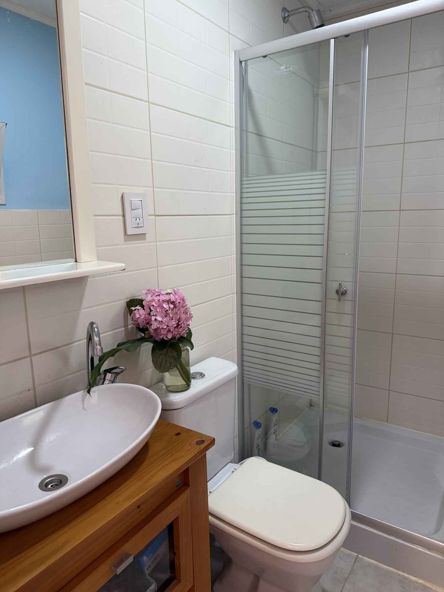 El baño con ducha.